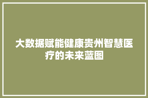 大数据赋能健康贵州智慧医疗的未来蓝图