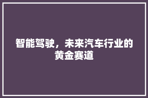 智能驾驶，未来汽车行业的黄金赛道
