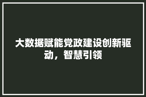 大数据赋能党政建设创新驱动，智慧引领