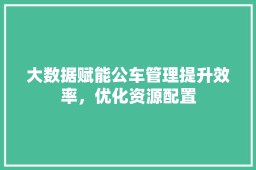 大数据赋能公车管理提升效率，优化资源配置