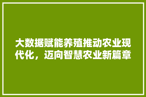 大数据赋能养殖推动农业现代化，迈向智慧农业新篇章