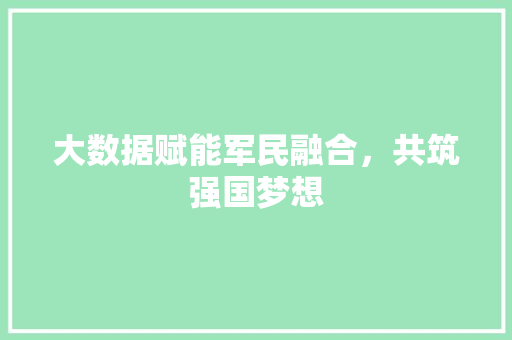 大数据赋能军民融合，共筑强国梦想