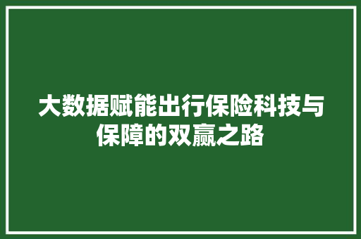 大数据赋能出行保险科技与保障的双赢之路