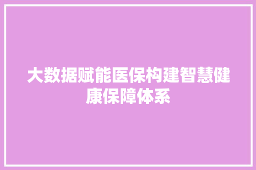 大数据赋能医保构建智慧健康保障体系