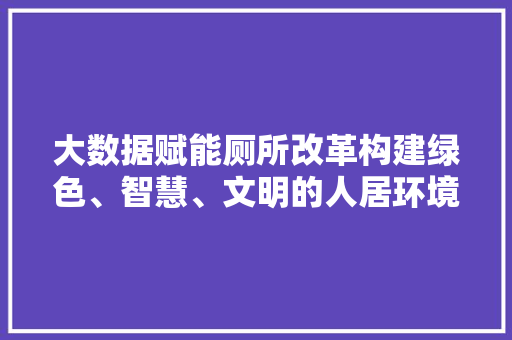 大数据赋能厕所改革构建绿色、智慧、文明的人居环境