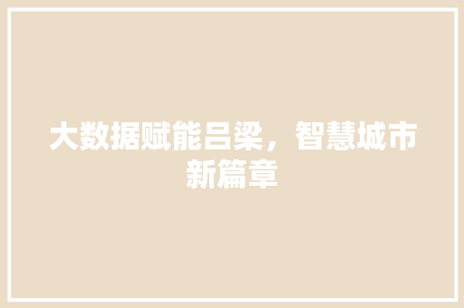 大数据赋能吕梁，智慧城市新篇章