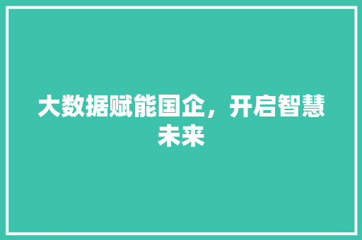 大数据赋能国企，开启智慧未来