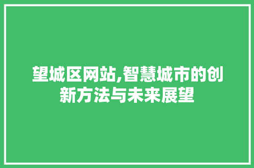 望城区网站,智慧城市的创新方法与未来展望