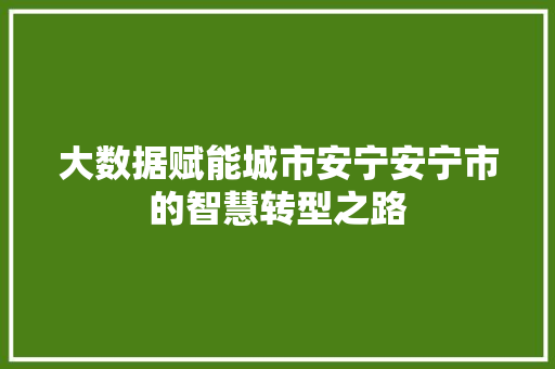 大数据赋能城市安宁安宁市的智慧转型之路