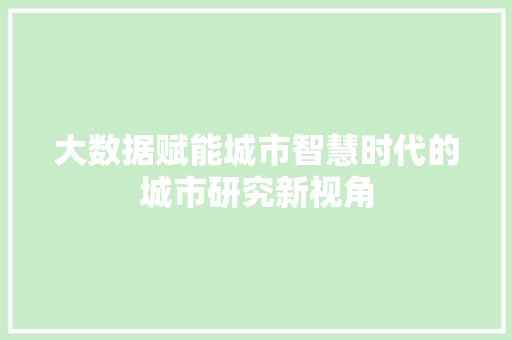 大数据赋能城市智慧时代的城市研究新视角
