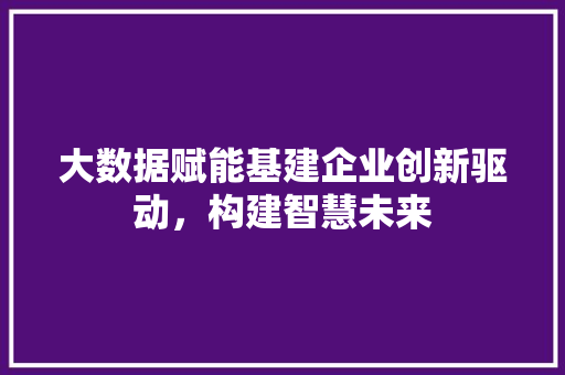 大数据赋能基建企业创新驱动，构建智慧未来