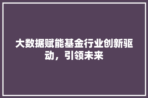 大数据赋能基金行业创新驱动，引领未来