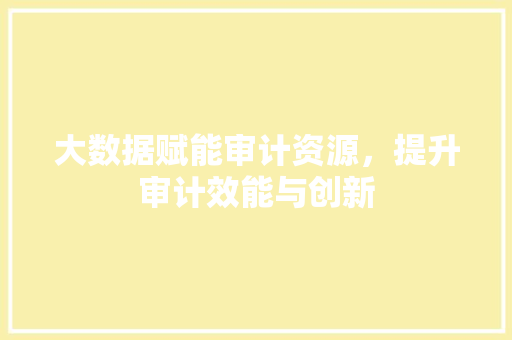 大数据赋能审计资源，提升审计效能与创新