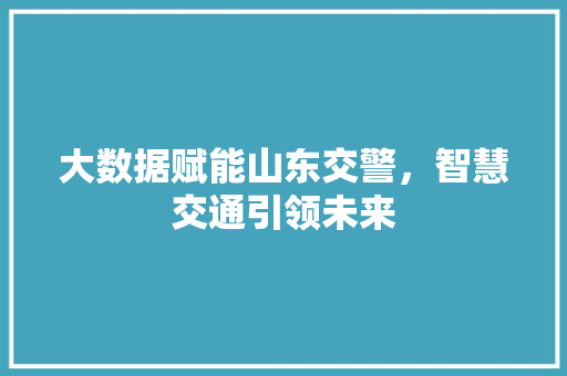 大数据赋能山东交警，智慧交通引领未来