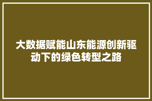 大数据赋能山东能源创新驱动下的绿色转型之路