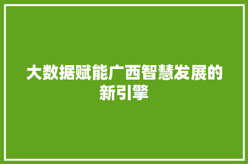 大数据赋能广西智慧发展的新引擎