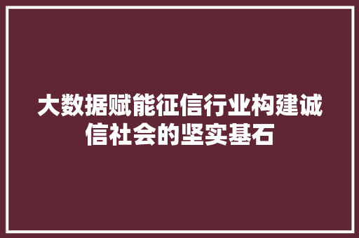 大数据赋能征信行业构建诚信社会的坚实基石