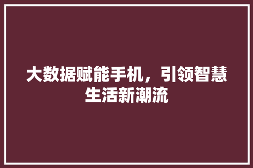 大数据赋能手机，引领智慧生活新潮流