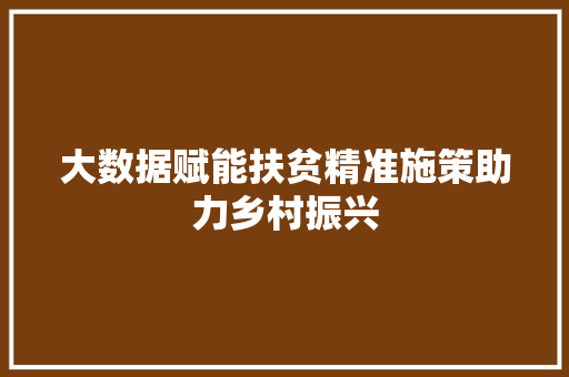 大数据赋能扶贫精准施策助力乡村振兴