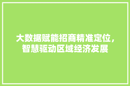 大数据赋能招商精准定位，智慧驱动区域经济发展