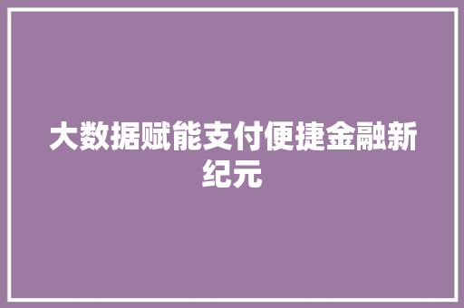 大数据赋能支付便捷金融新纪元
