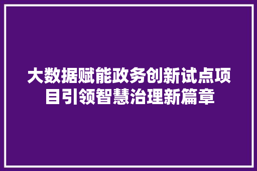大数据赋能政务创新试点项目引领智慧治理新篇章