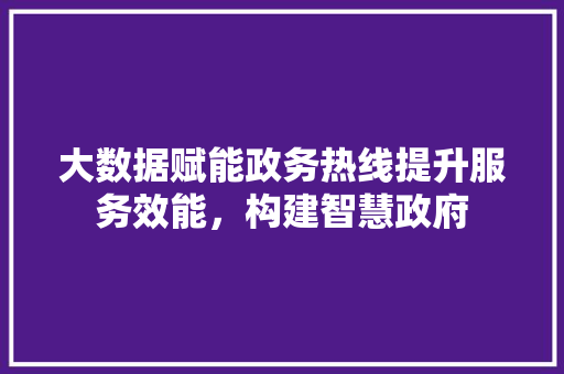 大数据赋能政务热线提升服务效能，构建智慧政府