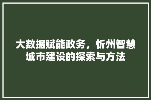 大数据赋能政务，忻州智慧城市建设的探索与方法