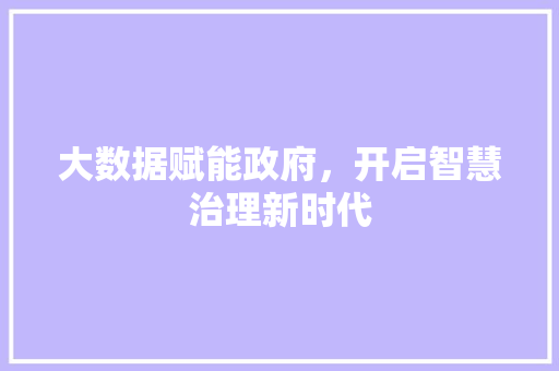 大数据赋能政府，开启智慧治理新时代