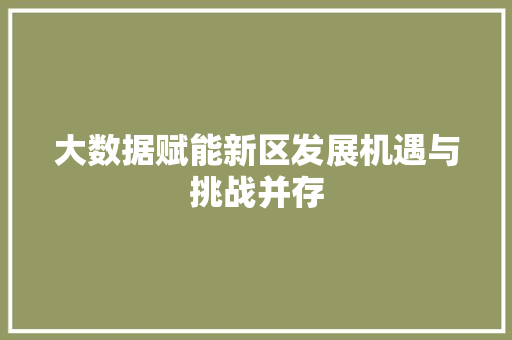 大数据赋能新区发展机遇与挑战并存