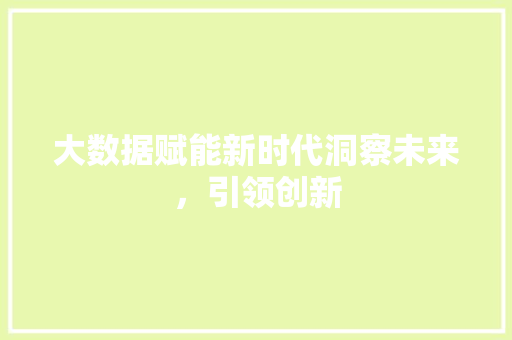 大数据赋能新时代洞察未来，引领创新