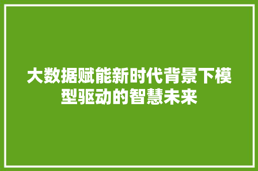 大数据赋能新时代背景下模型驱动的智慧未来