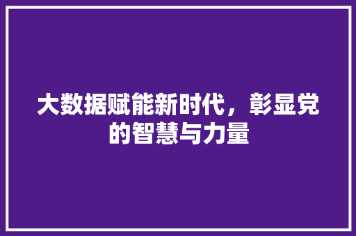 大数据赋能新时代，彰显党的智慧与力量
