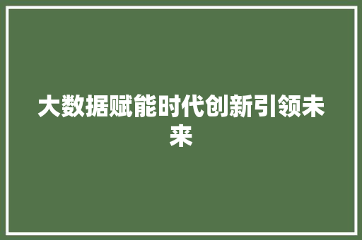 大数据赋能时代创新引领未来
