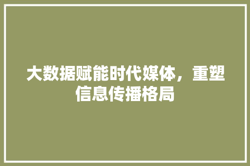 大数据赋能时代媒体，重塑信息传播格局
