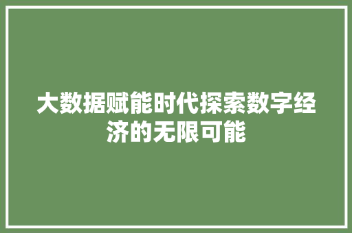 大数据赋能时代探索数字经济的无限可能