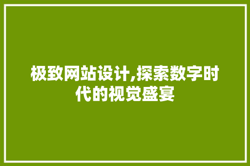 极致网站设计,探索数字时代的视觉盛宴
