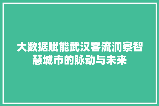 大数据赋能武汉客流洞察智慧城市的脉动与未来