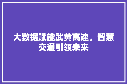 大数据赋能武黄高速，智慧交通引领未来