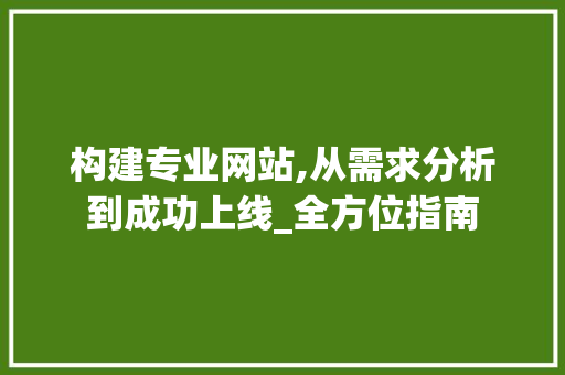 构建专业网站,从需求分析到成功上线_全方位指南