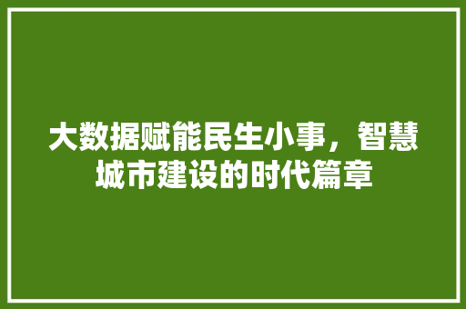 大数据赋能民生小事，智慧城市建设的时代篇章