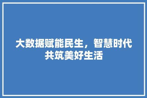 大数据赋能民生，智慧时代共筑美好生活
