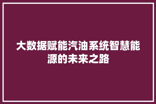 大数据赋能汽油系统智慧能源的未来之路
