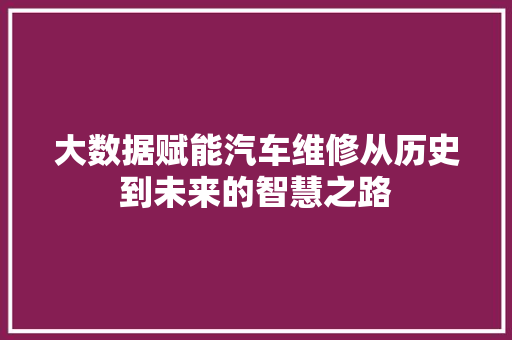 大数据赋能汽车维修从历史到未来的智慧之路