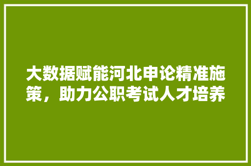 大数据赋能河北申论精准施策，助力公职考试人才培养