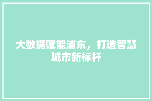 大数据赋能浦东，打造智慧城市新标杆