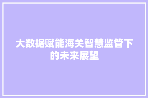 大数据赋能海关智慧监管下的未来展望