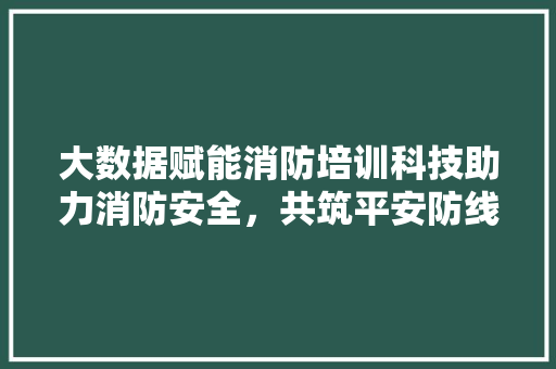 大数据赋能消防培训科技助力消防安全，共筑平安防线