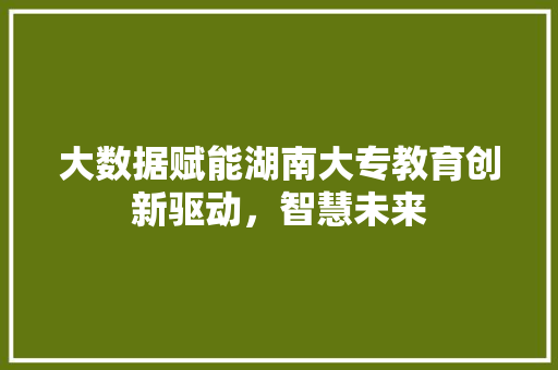 大数据赋能湖南大专教育创新驱动，智慧未来