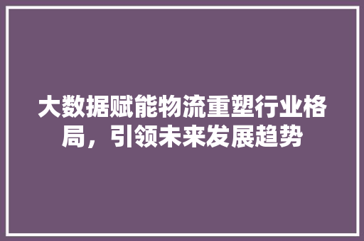 大数据赋能物流重塑行业格局，引领未来发展趋势